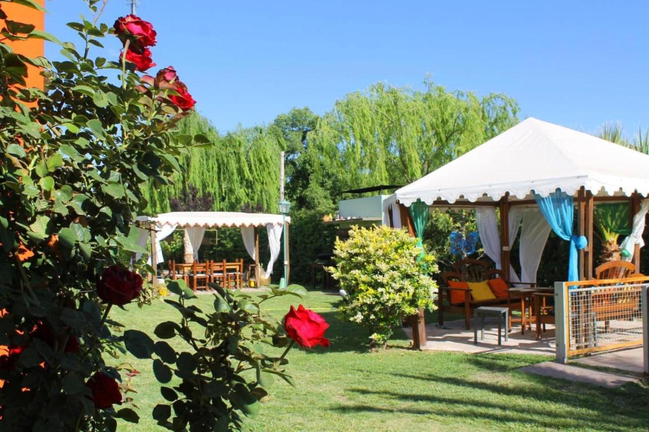 Cabanas El Naranjo Сан-Рафаэль Экстерьер фото